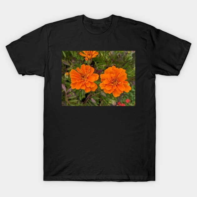 Pair of Orange Flowers Photographic Image T-Shirt by AustaArt